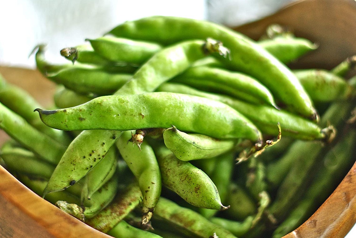 Fava Lima Bean Seeds cool BEANS N Sprouts Brand. Etsy