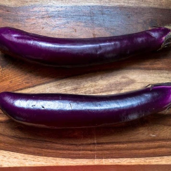 Eggplant Seeds- Long Purple Eggplant Seeds ,"COOL BEANS N sprouts" Brand. Home Gardening.