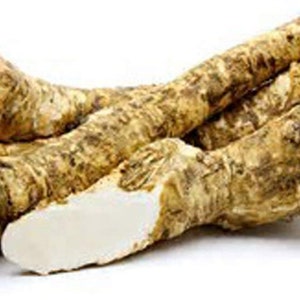 May include: Close-up of several horseradish roots, showing the knobby, brown exterior and the pale, white interior of one root.