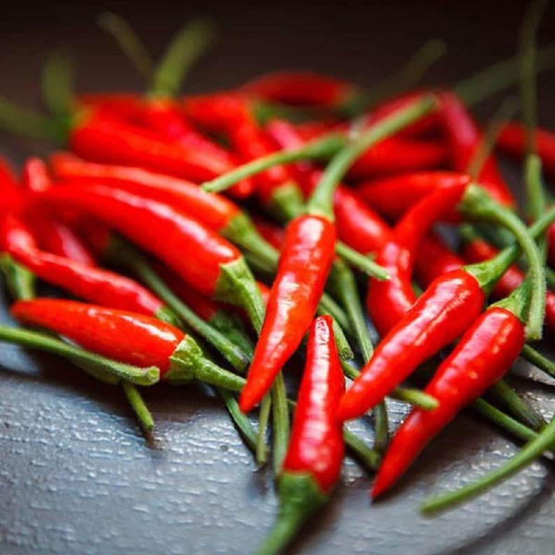 Pepper Seeds Thai Pepper Seedscool BEANS N Etsy