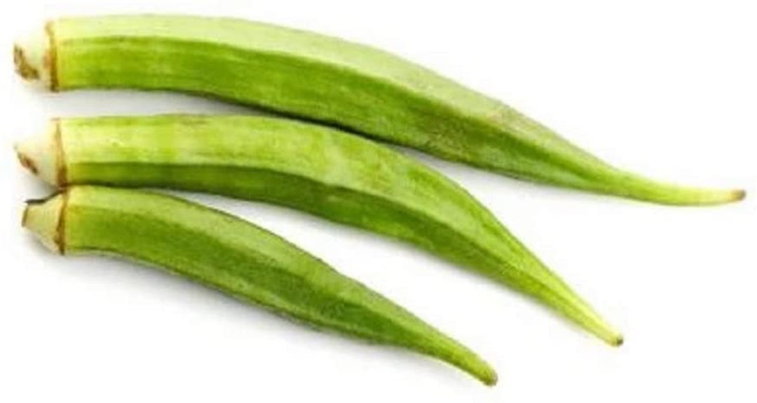 Okra Seeds Perkins Long Pod Okra Seeds cool BEANS N Etsy Canada