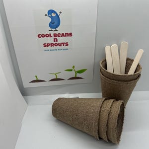 May include: A set of four brown biodegradable pots for planting seeds, with four wooden sticks and a white card with a blue bean character and the text "Cool Beans n Sprouts Our Roots Run Deep".