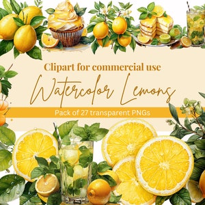 Aquarell Zitronen Clipart Pack - Sommer Clip Art Bundle - Transparente PNGs - Zitrusfrüchte - Grün Illustration Sofort Download Kommerzielle Nutzung