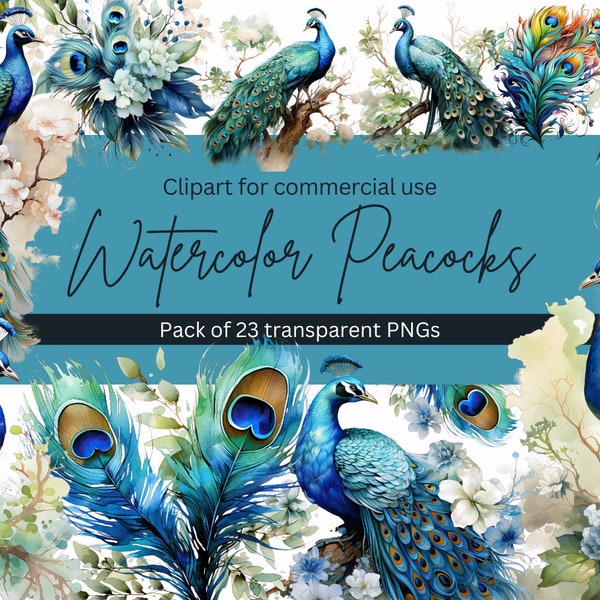 Watercolor Peacock Clipart Bundle - Exquisite Feathers, Majestic Peacock Illustrations, Floral Bouquets, transparent PNGs for commercial use