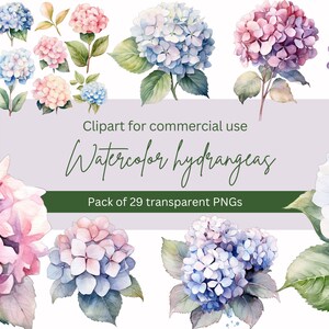 Watercolor Floral Hydrangea Clipart Pack, Clip art for commercial use, Transparent PNGs, Dusty Blue, Pink, Purple Wedding Botanical Florals