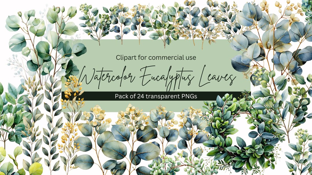 Elegant Watercolor Eucalyptus Clip Art With Golden Accents - Instant ...