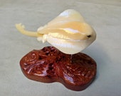 Tagua walnut sculpture, Manta - netsuke - Japanese culture - statuette or miniature - hand carved - on bubinga wood base