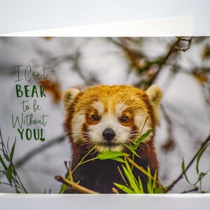 I Can’t Bear to be Without You - Cute Valentines Card - Dog Card - Valentines Day Card - Pun Animal Card