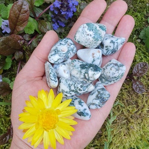 Op de afbeelding: Een hand die een verzameling gepolijste mossa-agaten vasthoudt. De stenen zijn wit met groene, mosachtige patronen. Er is ook een gele bloem in de hand.