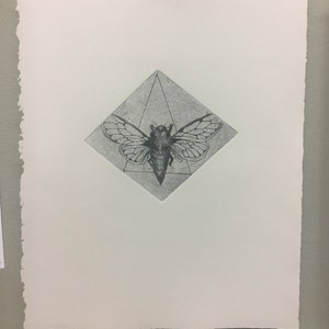Pode incluir: Uma impressão em preto e branco de um inseto cigarra com asas detalhadas, centrada em um losango e um triângulo, em papel branco com borda irregular. Um clipe preto prende o papel.