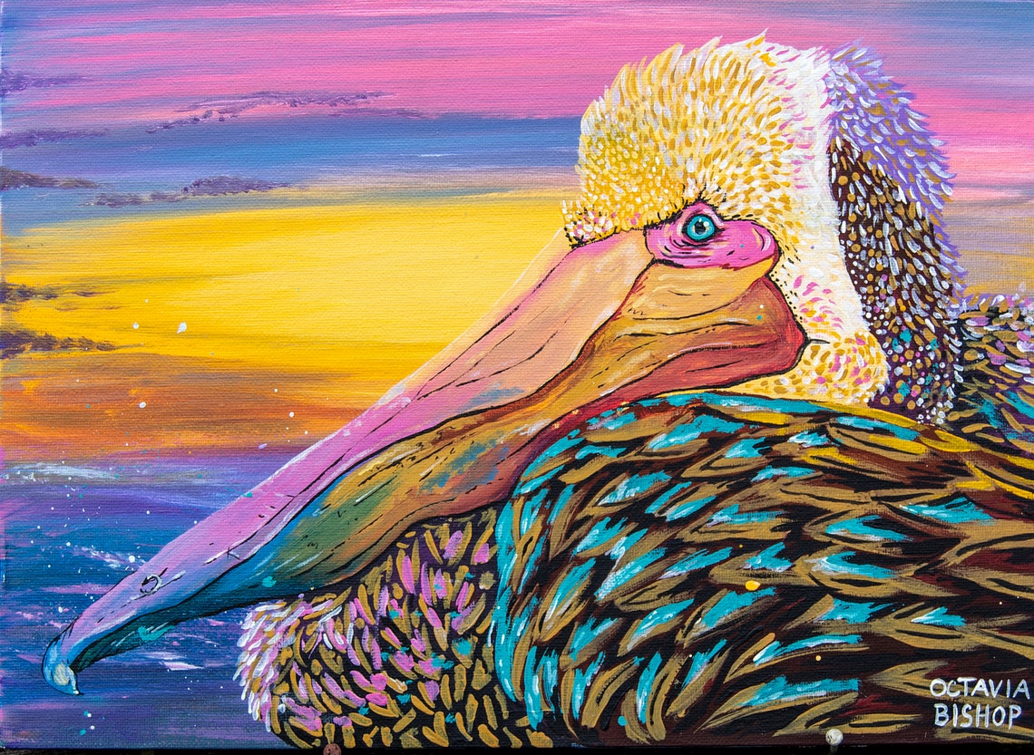 Colorful pelican canvas print stretched Etsy