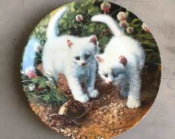 A Chance Meeting White American Shorthairs Porcelain Etsy