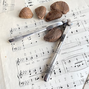 May include: A silver nutcracker with a textured handle and a smooth, curved jaw. The nutcracker is lying on a sheet of music with the words 'Fa ces are beam' and 'mid all the pleas-ure cheers' visible. There are several brown Brazil nuts scattered around the nutcracker.