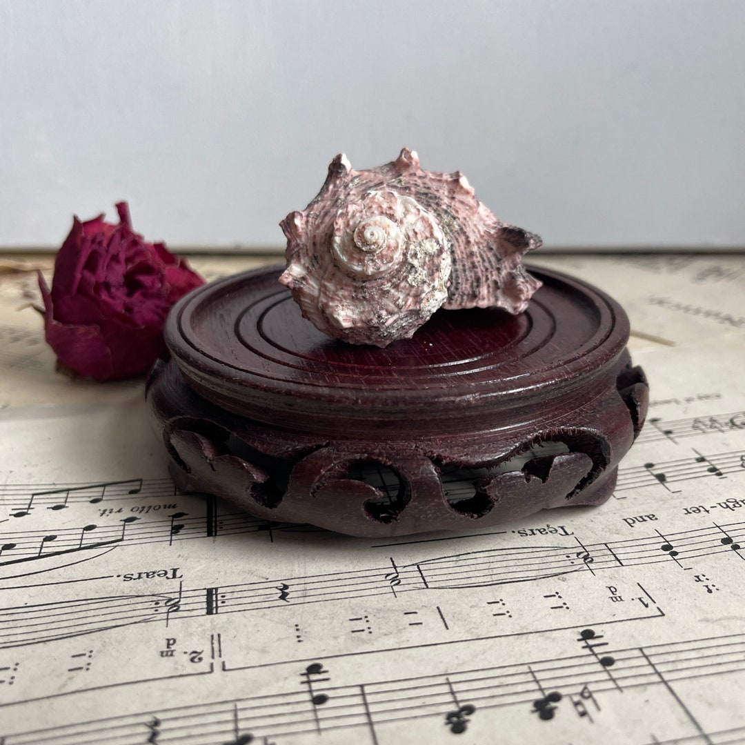 Vintage Chinese Carved Wooden Stands. Display for Curios Etsy