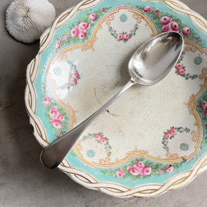May include: A silver spoon lies on a vintage plate with a cracked, cream-coloured surface. The plate is decorated with pink roses and teal borders. A white, coral-like object is visible in the background.