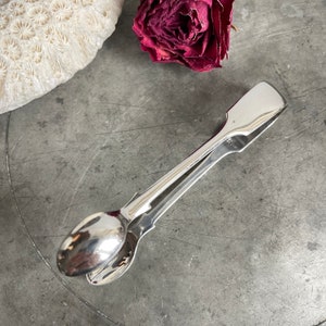 May include: A silver sugar tong with spoon-shaped ends and a rectangular handle. The tongs are resting on a grey surface, with a dried rose and a piece of white coral in the background.