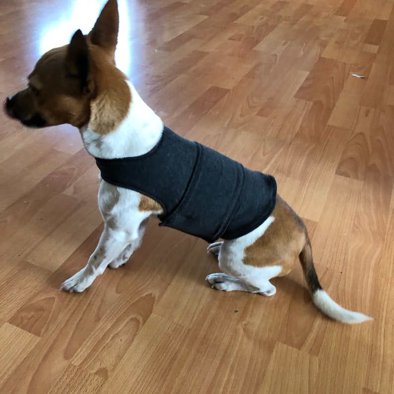 Dog Calming Vest Etsy