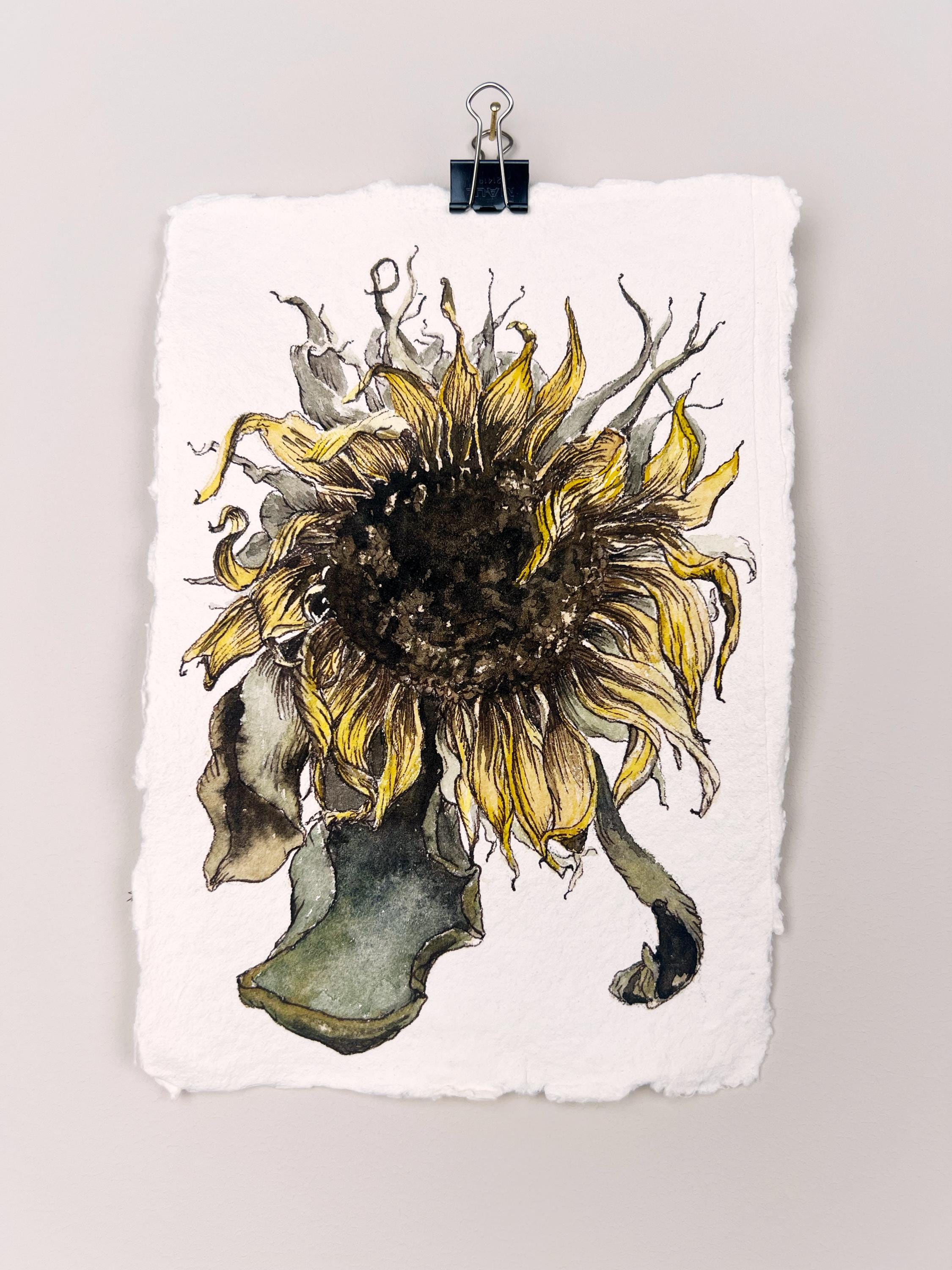 Solros - Etsy Canada