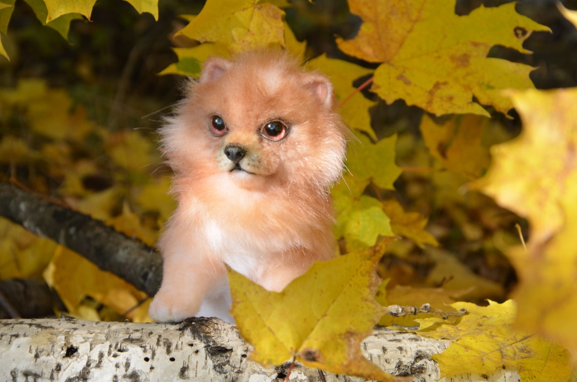 Realistic Plush Toy Pomeranian Puppy kashtanka Etsy
