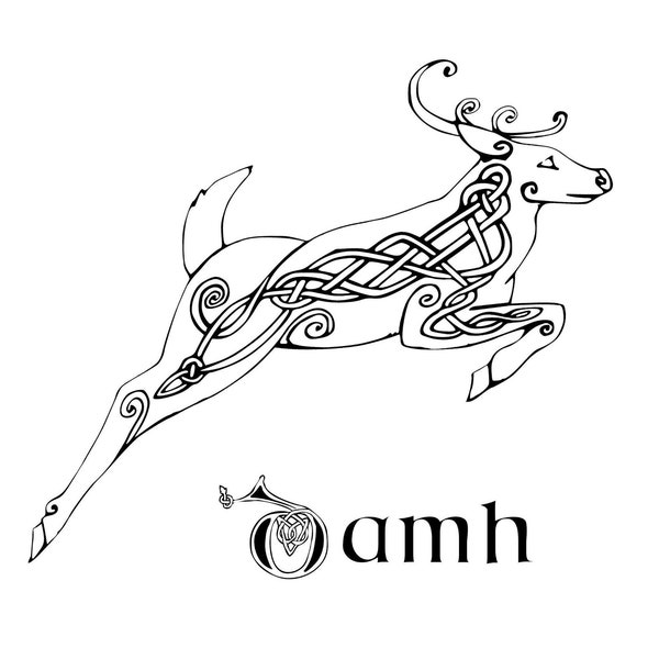 Printable Celtic Animal Coloring Book – PDF Digital Download