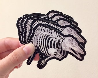 Beluga Skeleton Sticker