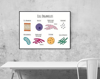 Cell Organelles A4 Print - Blue