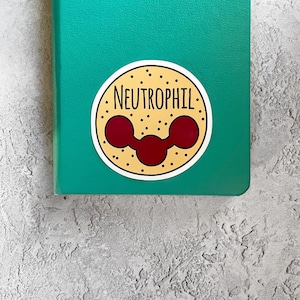 Neutrophil Sticker - Yellow & Purple
