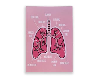 Lung Anatomy A6 Print, Respiratory System Postcard, Anatomy Science Gift