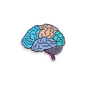 Gehirn Emaille Pin, Gehirn Anatomie Abzeichen, Neurologie Wissenschaft Geschenk