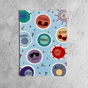 Immunology A6 Print/Postcard - Science Print - Science Postcard