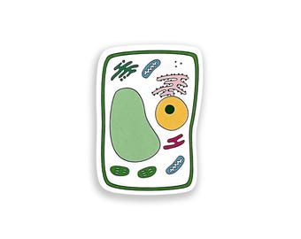 Plant Cell Vinyl Sticker, Cell Biology Decal, Biology Science Gift