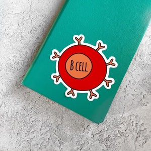 B Cell / Lymphocyte Sticker - Red & Pink