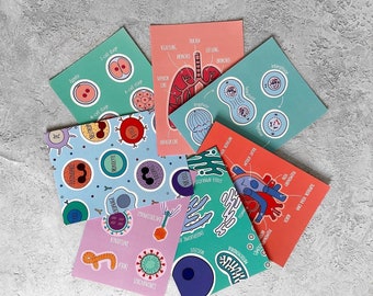 Biology Multi-Pack A6 Prints/Postcard - Science Prints - Science Postcards