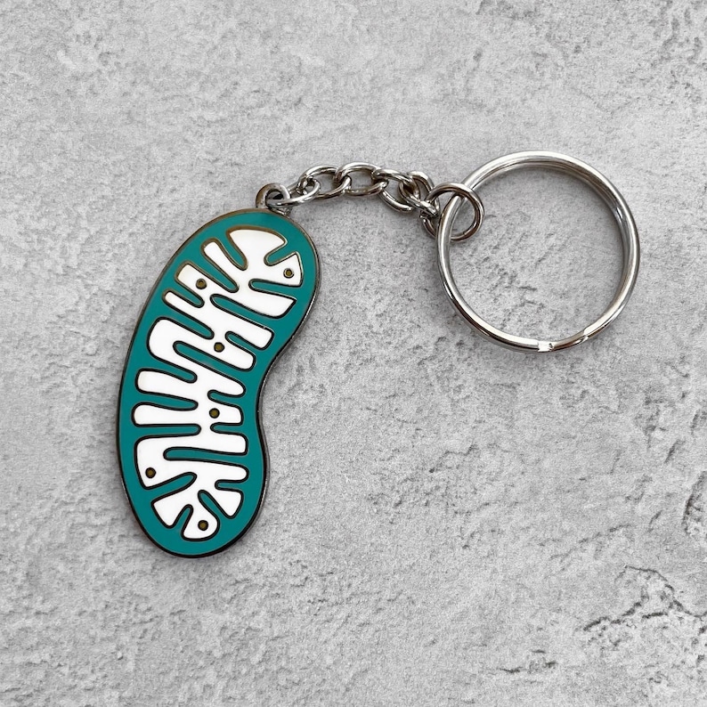 Mitochondria Enamel Keyring, Cell Biology Keychain, Science Gift for ...