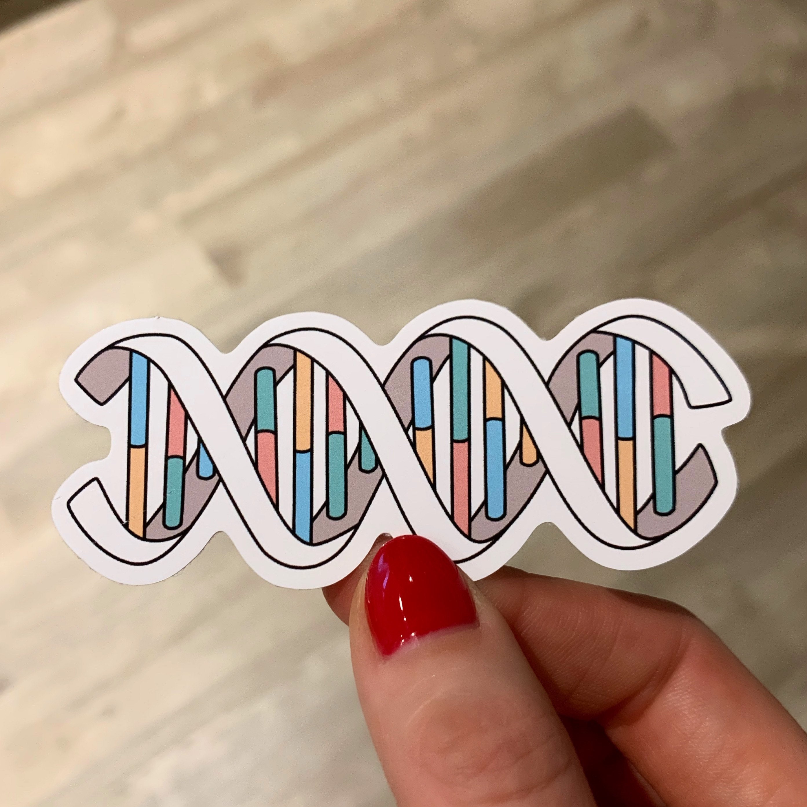 Les Stickers 64, l'ADN de la marque depuis 1997