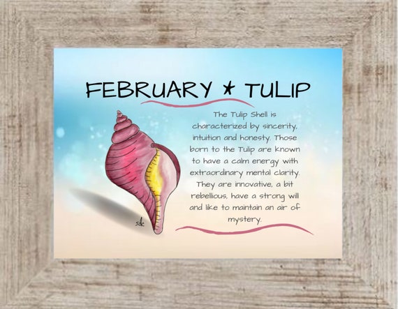 February Seashell Coastal Decor,Seashell Framed Art Print,Nautical Watercolor,Tropical Wall Art,Tulip Shell,February Birthday