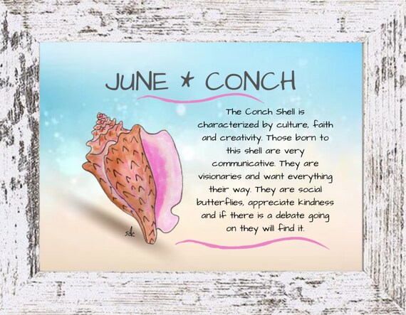 June Seashell Coastal Decor,Seashell Framed Art Print,Nautical Watercolor,Tropical Wall Art,Conch Shell,June Birthday Gift