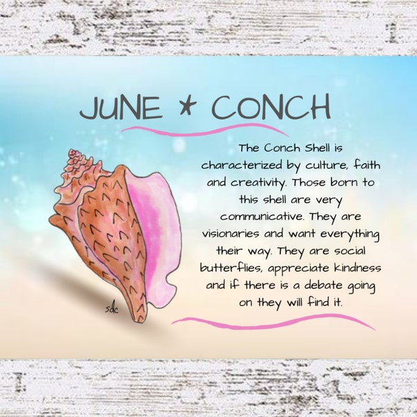 June Seashell Coastal Decor,Seashell Framed Art Print,Nautical Watercolor,Tropical Wall Art,Conch Shell,June Birthday Gift