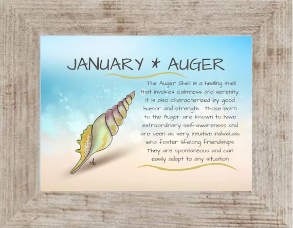 January Seashell Coastal Decor,Seashell Framed Art Print,Nautical Watercolor,Tropical Wall Art,Auger Shell,January Birthday