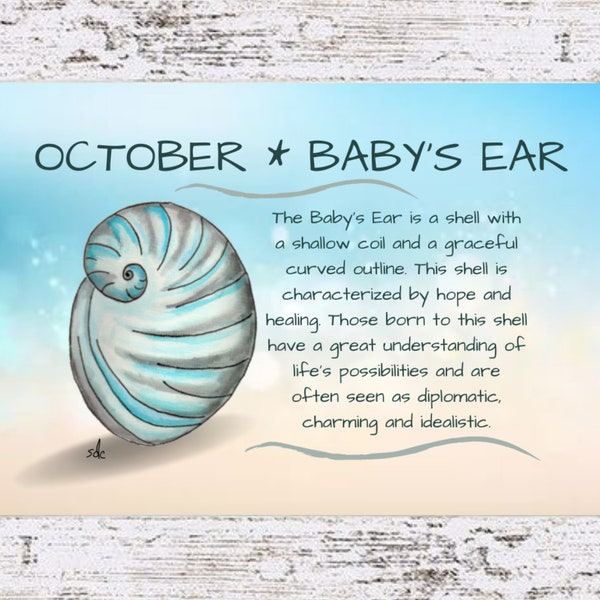 October Seashell Coastal Decor,Seashell Framed Art Print,Nautical Watercolor,Tropical Wall Art,Babys Ear Shell, October Birthday Gift