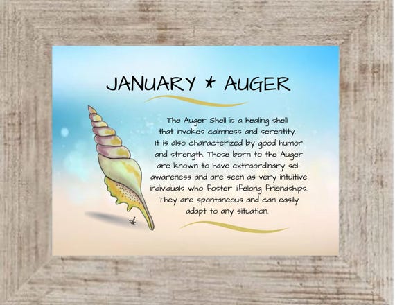 January Birth Shell Framed Art: Nautical Watercolor Coastal Decor