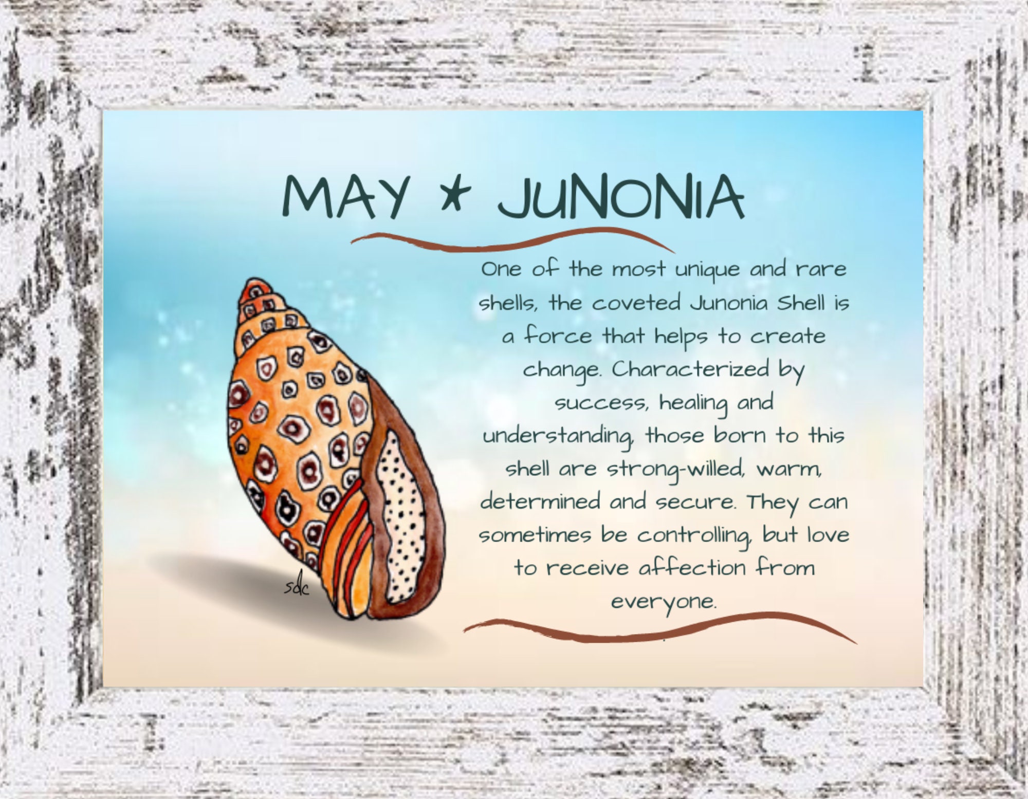 Junonia swimwear cheap