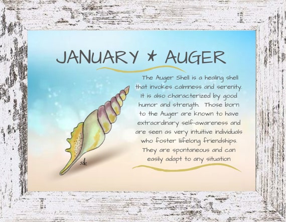 January Seashell Coastal Decor,Seashell Framed Art Print,Nautical Watercolor,Tropical Wall Art,Auger Shell,January Birthday