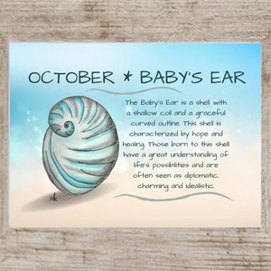 October Birth Shell Framed Art: Nautical Watercolor Print