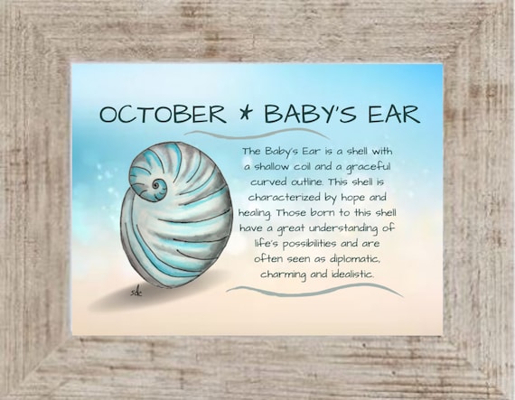 October Seashell Coastal Decor,Seashell Framed Art Print,Nautical Watercolor,Tropical Wall Art,Babys Ear Shell, October Birthday Gift