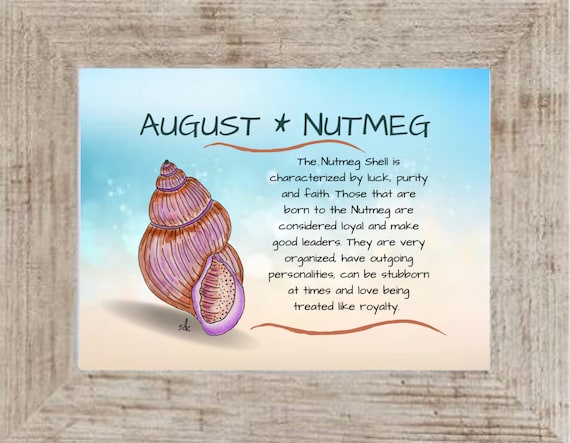 August Seashell Coastal Decor,Seashell Framed Art Print,Nautical Watercolor,Tropical Wall Art,Nutmeg Seashell,August Birthday