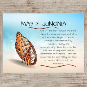 May Seashell Coastal Decor,Seashell Framed Art Print,Nautical Watercolor,Tropical Wall Art,Junonia Shell, May Birthday Gift