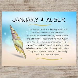 January Birth Shell Framed Art: Nautical Watercolor Coastal Decor