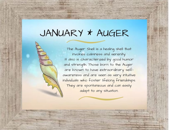 January Birth Shell Framed Art: Nautical Watercolor Coastal Decor