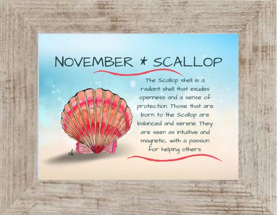 November Seashell Coastal Decor,Seashell Framed Art Print,Nautical Watercolor,Tropical Wall Art,Scallop Shell,November Birthday Gift